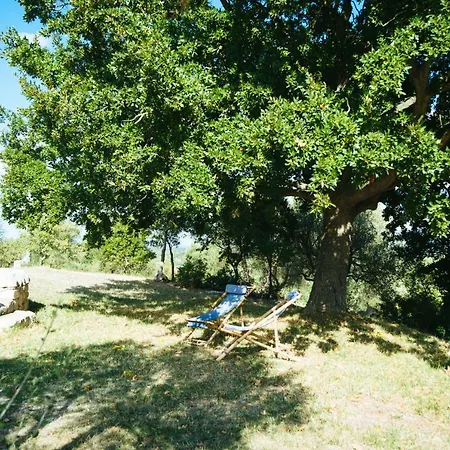 Villa Trullo San Giovanni *